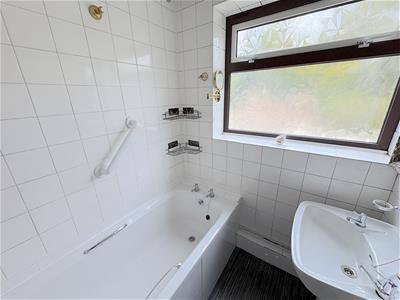 Picture 11